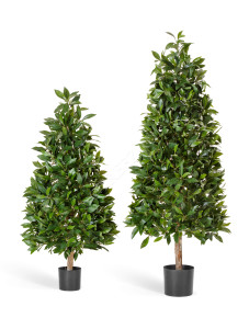 10.50204N Лавр пирамида люкс Цветочная коллекция