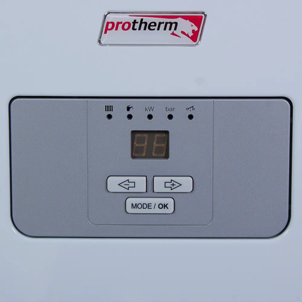 Котёл электрический 220/380 В Protherm Дельфин 9 кВт STLM-2171755 - Вид №2