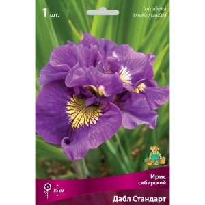 Ирис сибирский Дабл Стандарт луковица I 83597276 STLM-2031135