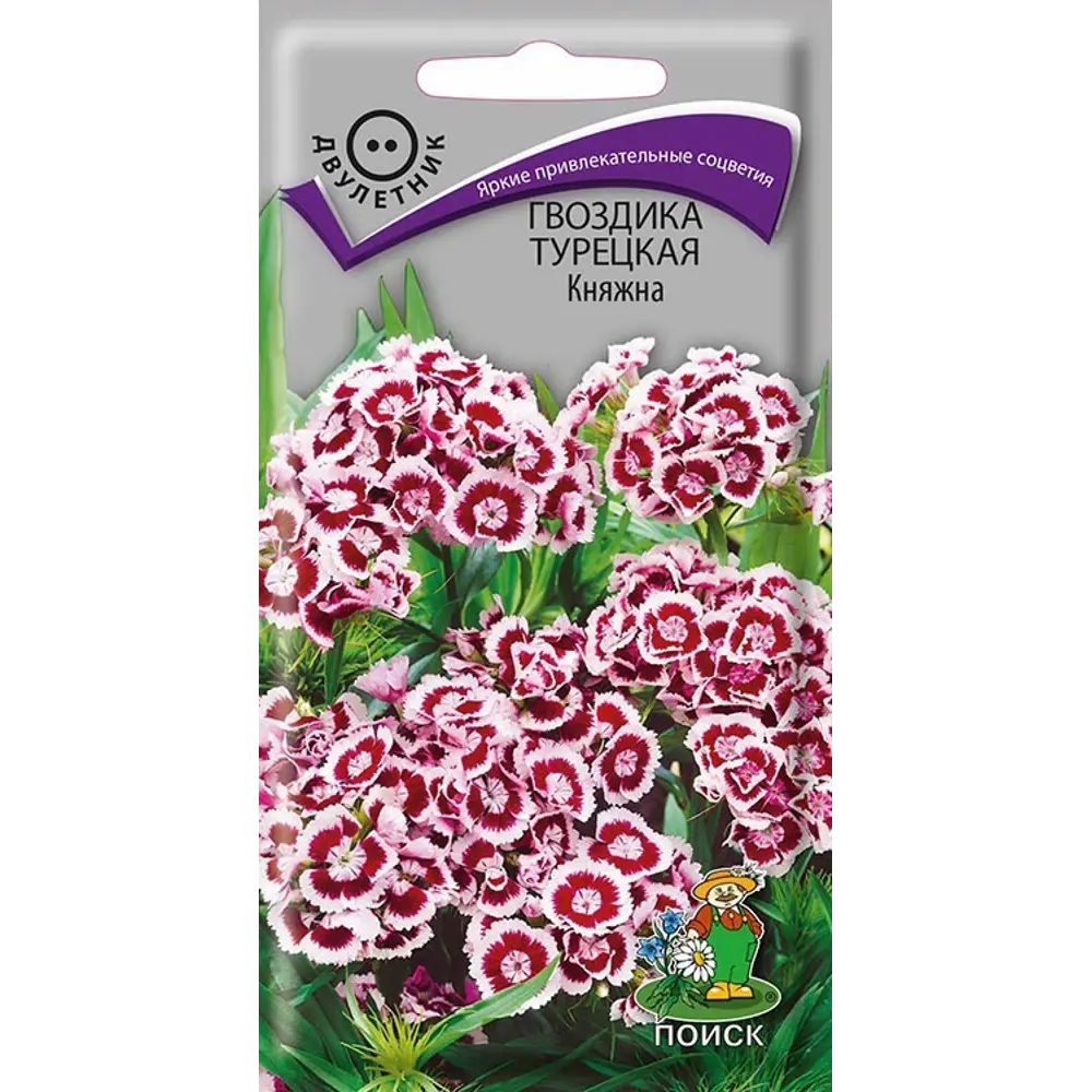 Семена Гвоздика Турецкая «Княжна» 83227379 STLM-2057920 ПОИСК 