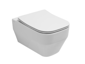 Туалет висит в витрине без бриды