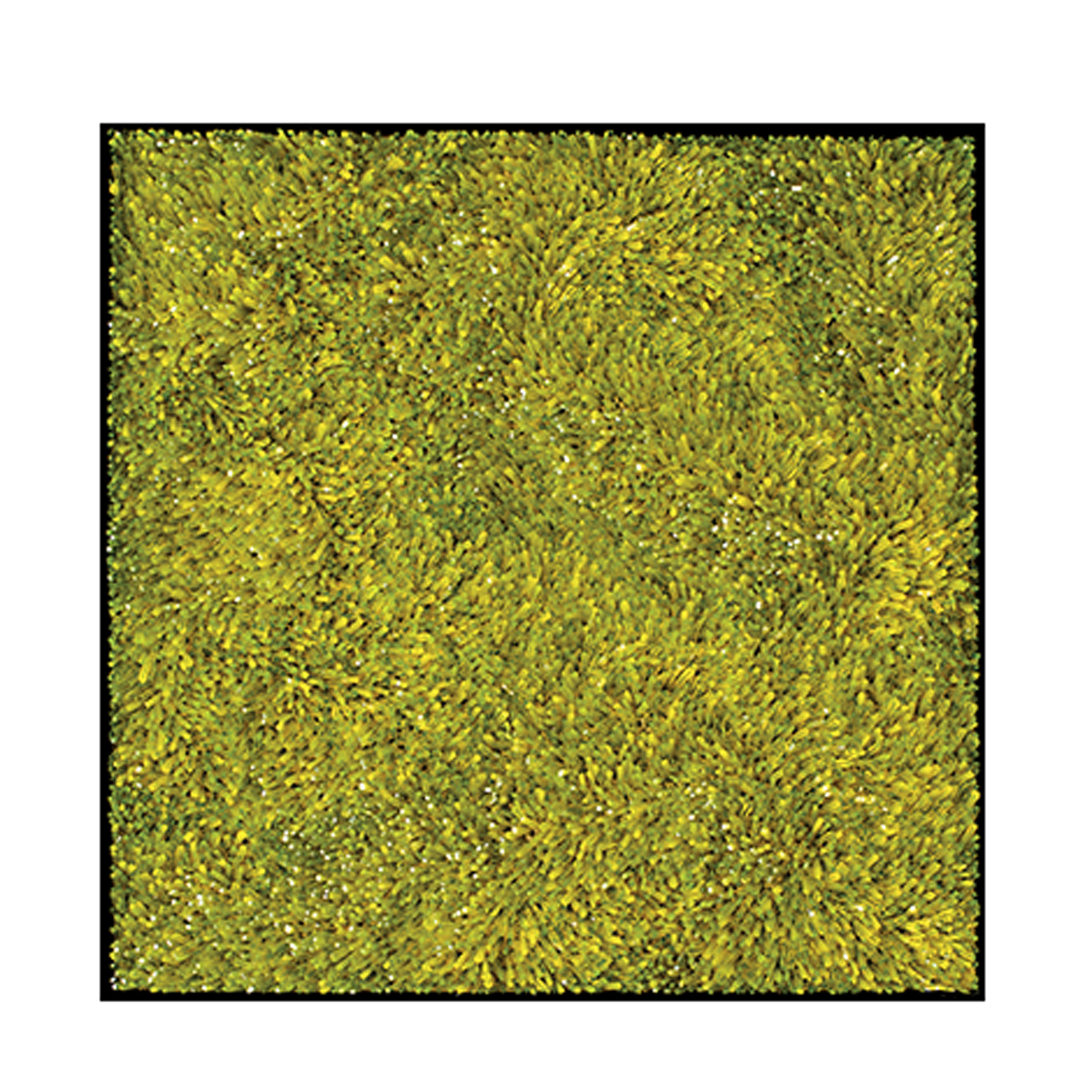 Cattedrale N.28 Произведение искусства Visionnaire  - Вид №1