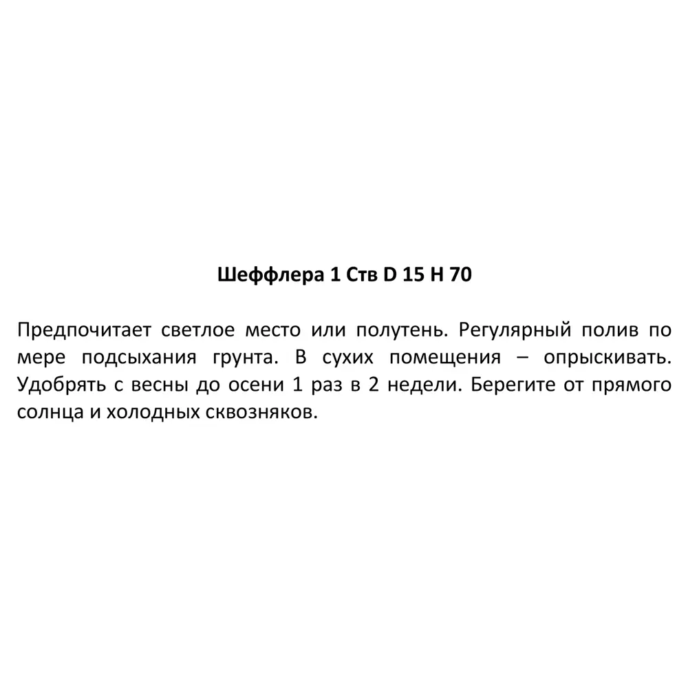 Шеффлера ø15 h70 см 85394492 STLM-2073824 Santreyd  - Вид №3