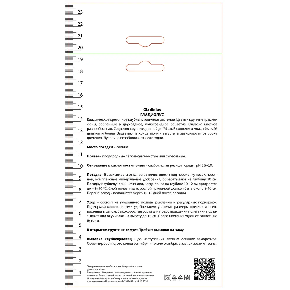 Гладиолус крупноцветковый Леннон, 3 шт 89452201 STLM-2123820 ПОИСК  - Вид №1
