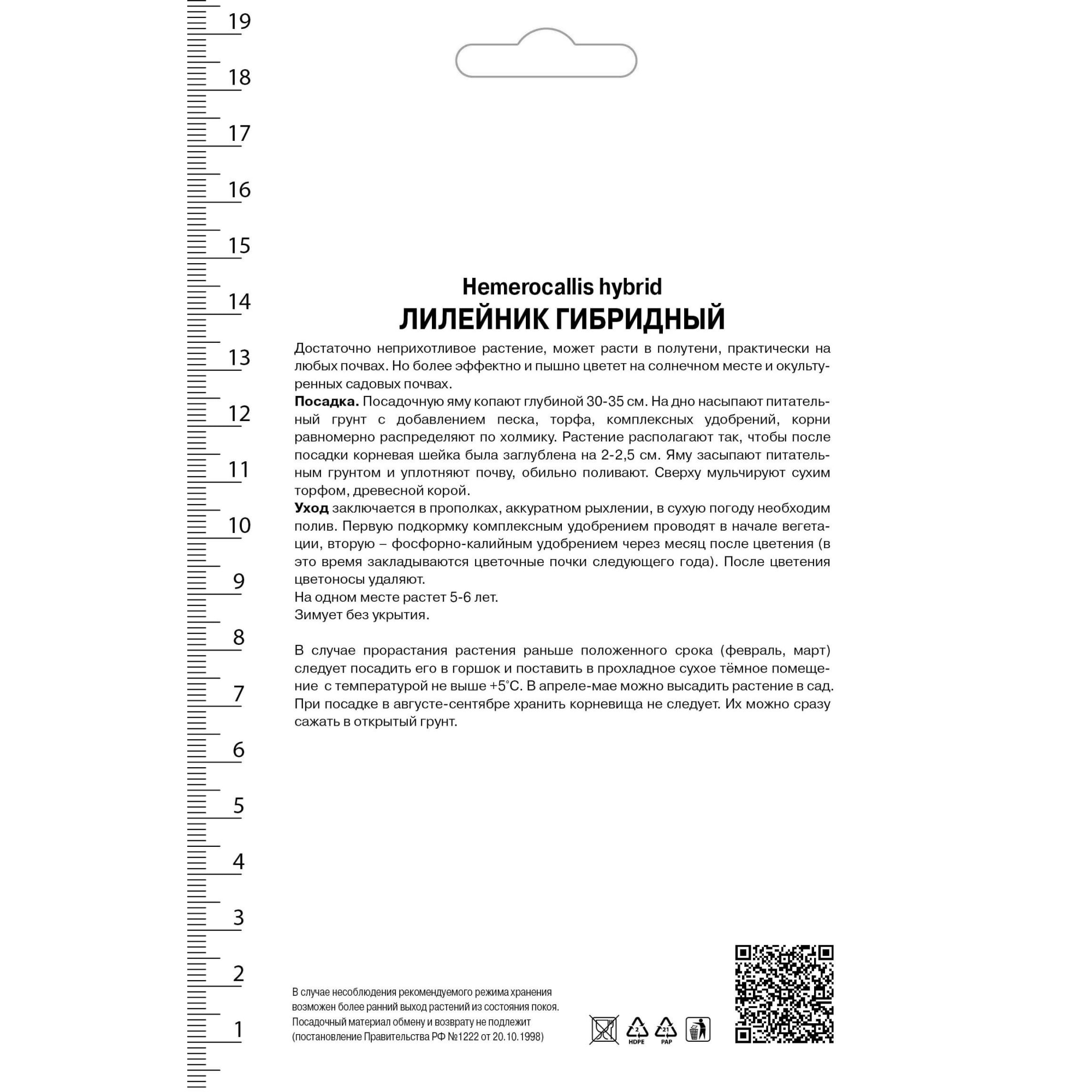 82530546 Лилейник гибридный Тропикал Сюрпрайз Santreyd  - Вид №1