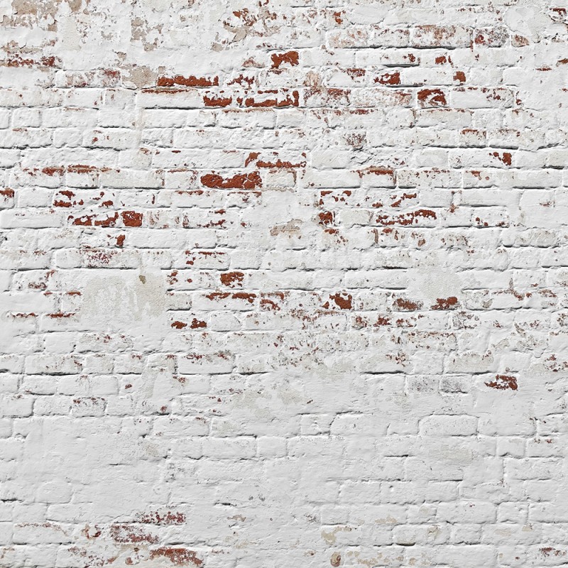 WP08113A Обои декоративные Adriani e Rossi 