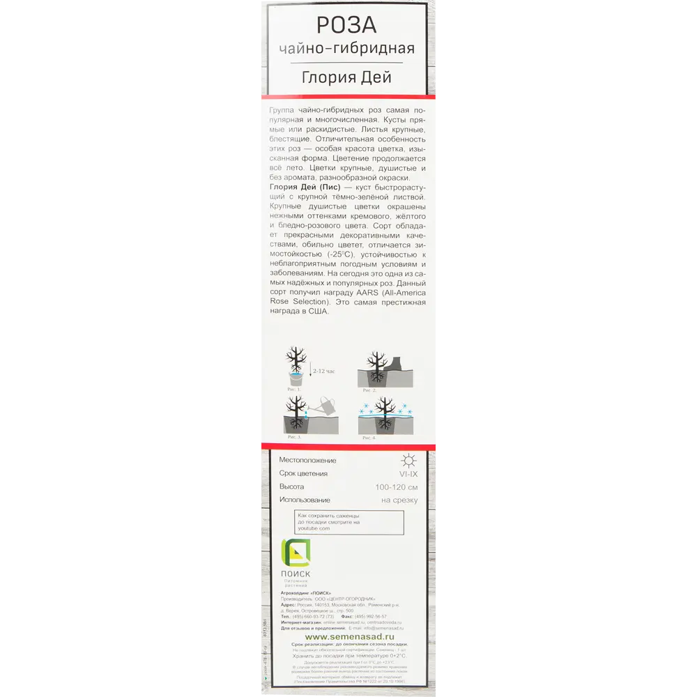 Розы чайно-гибридные «Глория Дей» 18346181 STLM-2065755 Santreyd  - Вид №2