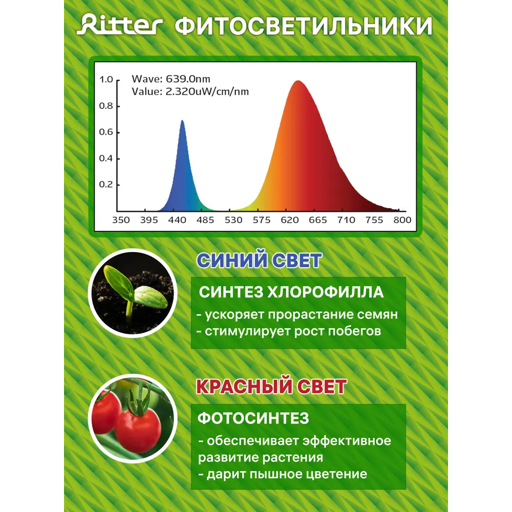 Светильник для растений на штативе с держателем Ritter 56303 7, 14 Вт, 21 μmol/s, 872 мм, фиолетовый свет 83614006 STLM-2124743  - Вид №10