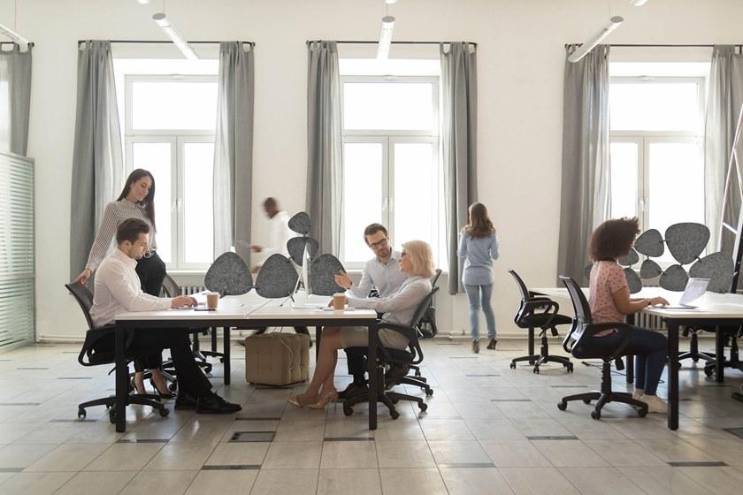 Tante Lotte Звукопоглощающая перегородка стола из шерсти Whisperwool moss Tsf002g19 - Вид №2