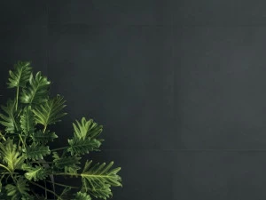 CERAMICHE KEOPE Настенная / напольная плитка из керамогранита Elements design