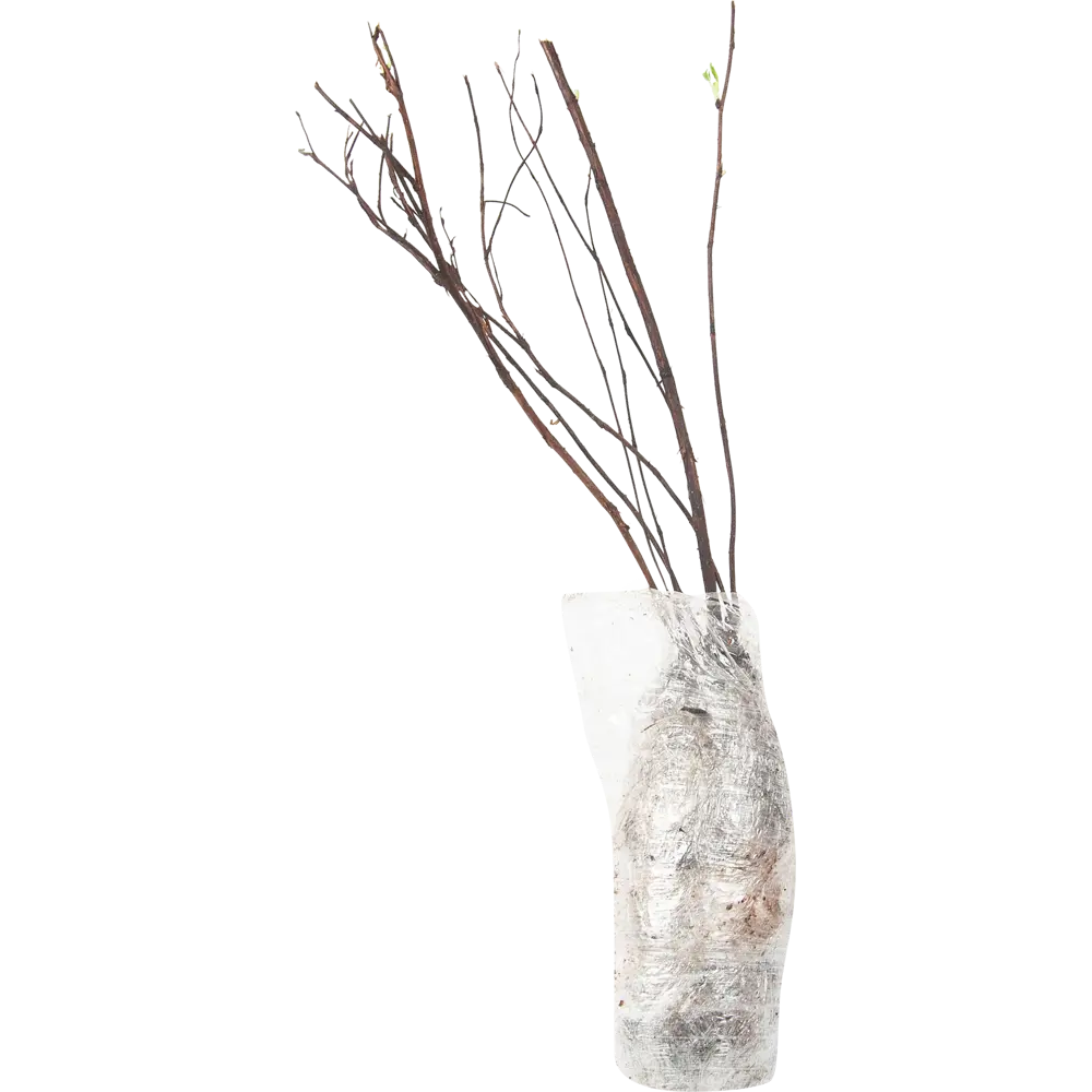 Лапчатка кустарниковый Хоуплс Орандж в тубе 82539528 STLM-2074361 BLOOMING LIFE  - Вид №1