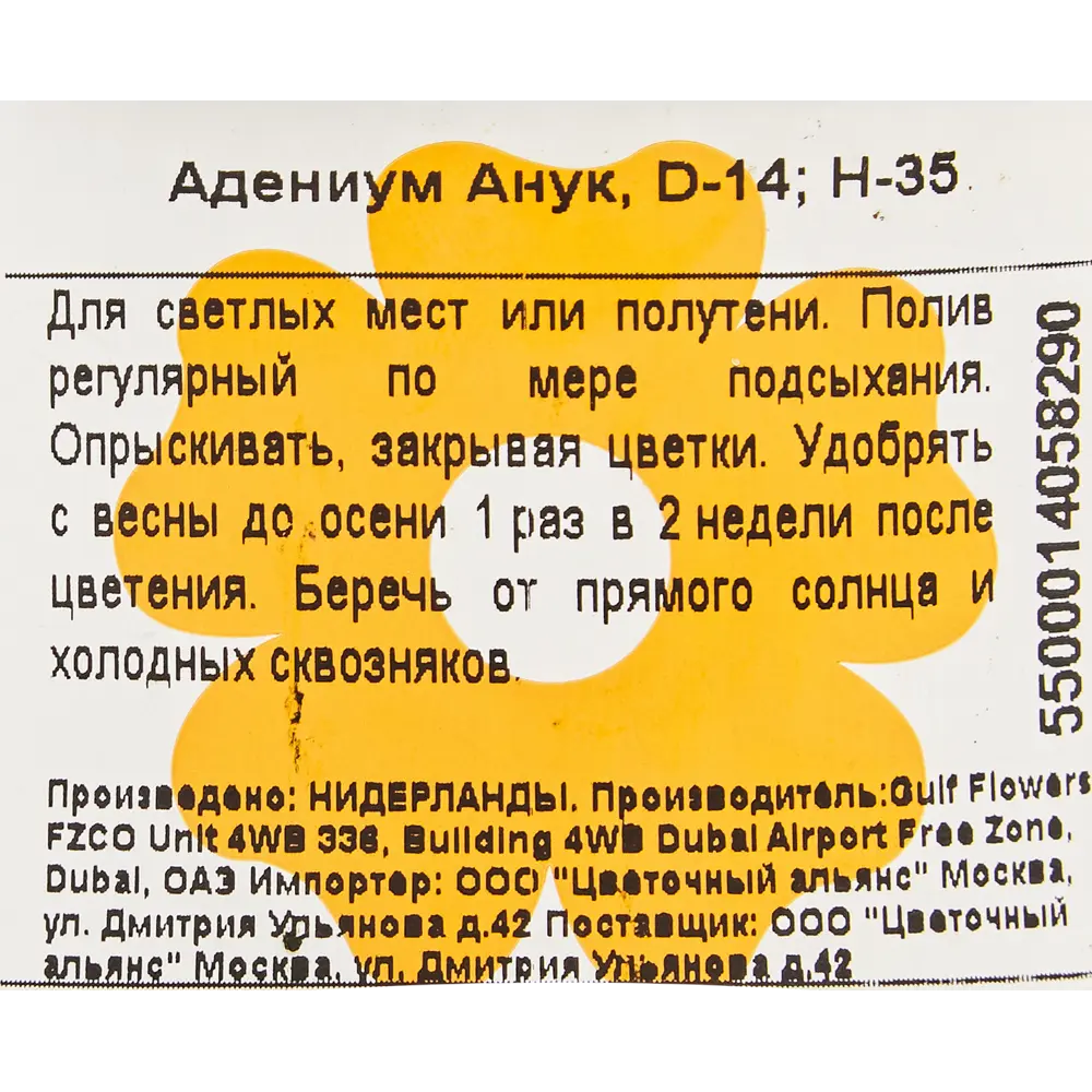 Адениум Анук 14x35 см 82877377 STLM-2094810 Santreyd  - Вид №3