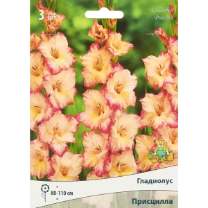 Гладиолус крупноцветковый Присцилла 3 шт. 83588516 STLM-2042541
