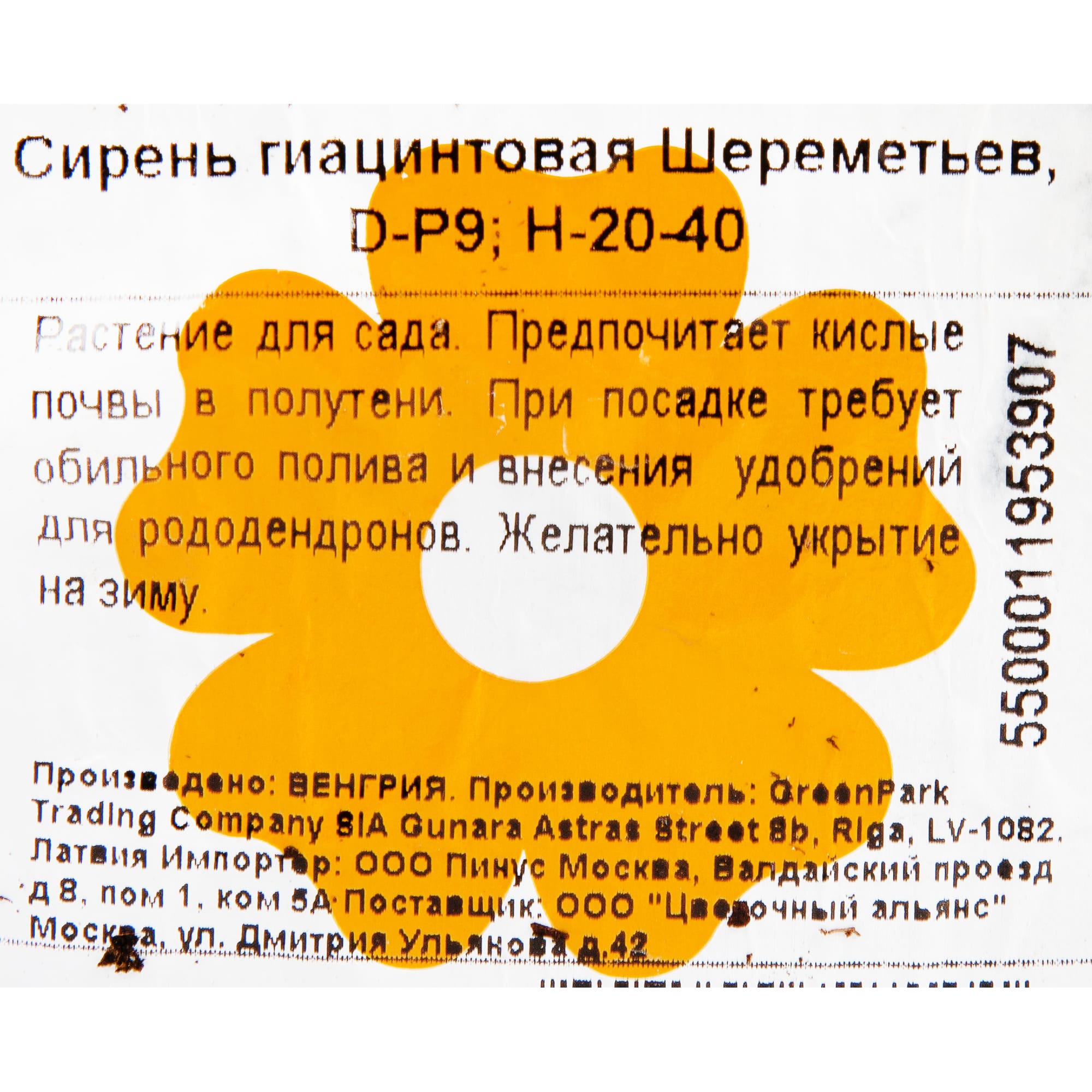 82176141 Сирень гиацинтовая «Шереметьев» P9 Santreyd  - Вид №2