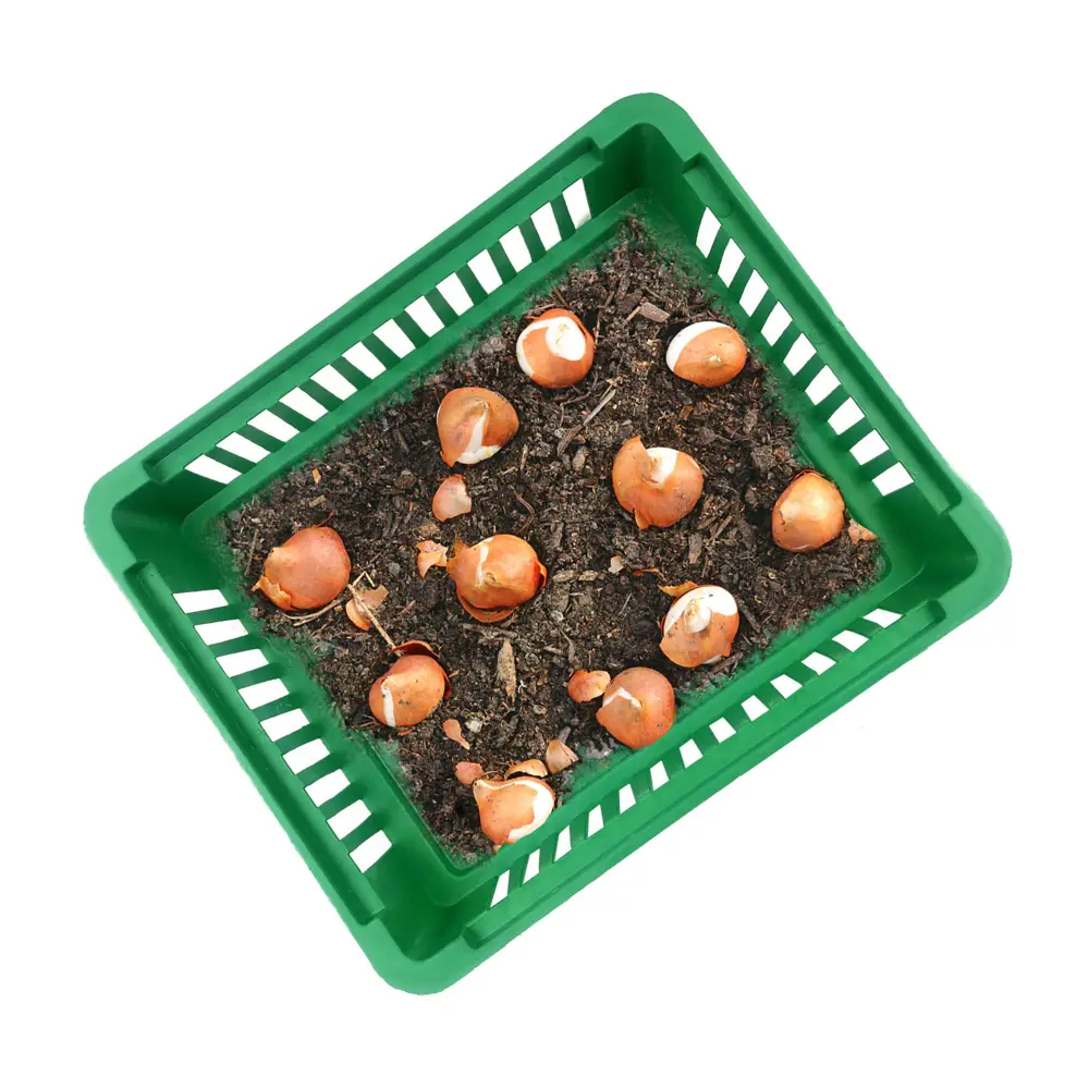 Корзина для луковичных растений ГАЗОНCITY - зеленая, 4 л 89344248 STLM-0950581 - Вид №1