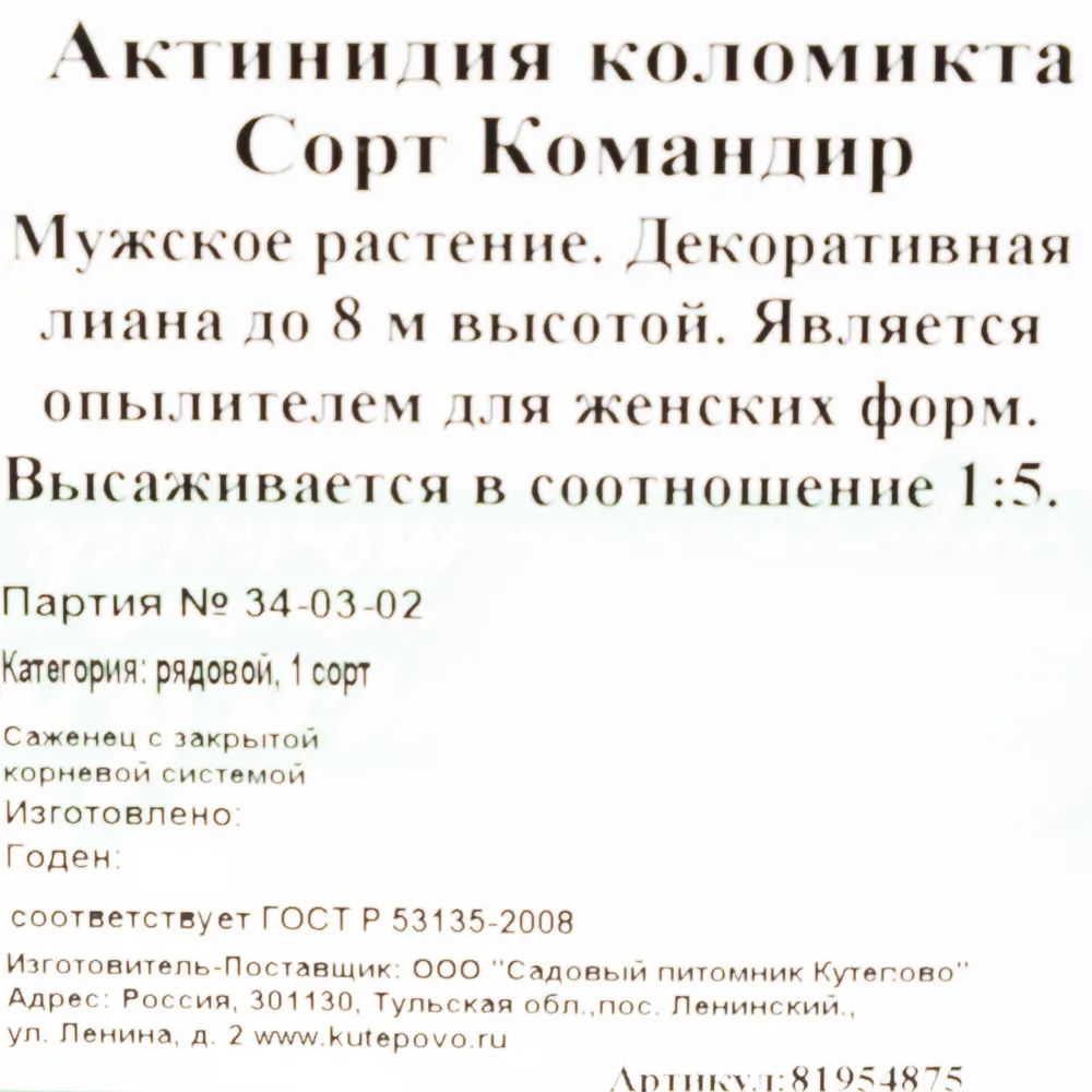 Актинидия коломикта С2 «Командир» h15 81954875 STLM-2206047 Santreyd  - Вид №1