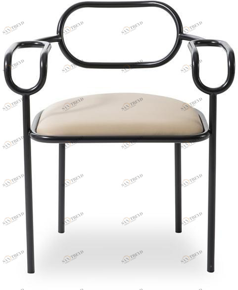 Cappellini Стул из железа с подлокотниками  Pc_22 