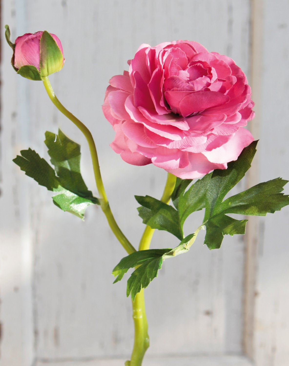 2450 515 a3 Лютик шелковый, 1 цветок, 1 бутон, 32 см, розовый H-andreas  - Вид №2