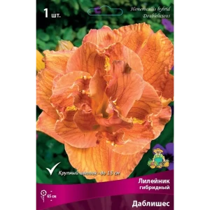 Лилейник гибридный Даблишес луковица I 83597570 STLM-2137819