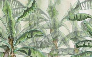 Водонепроницаемые обои