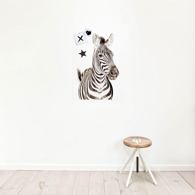 Groovy Magnets Магнитный плакат Animal Pos-62-z - Вид №3