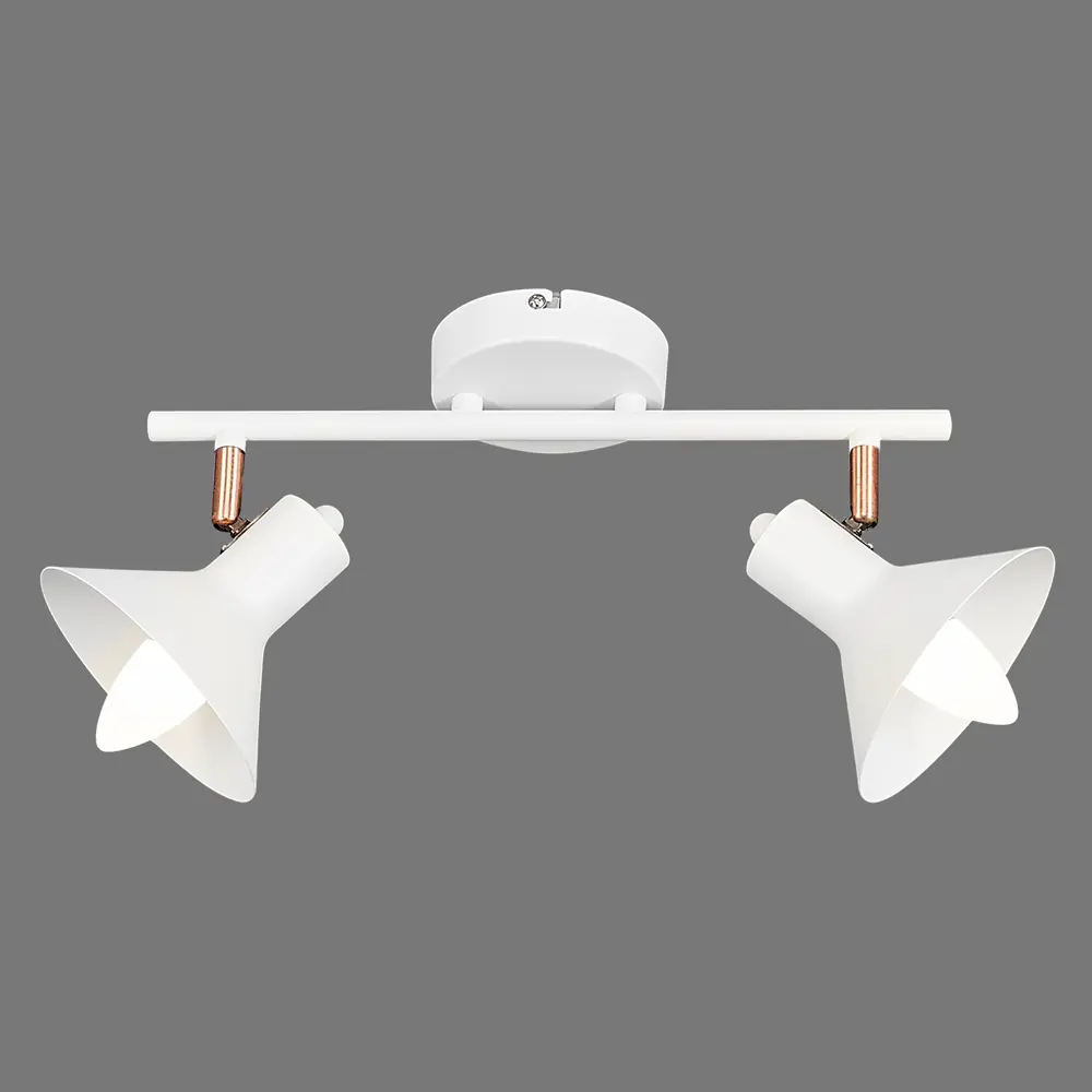 Спот поворотный Crater L1166-2, 2 лампы, 6 м², цвет белый LAMPLANDIA STLM-2144210 - Вид №3