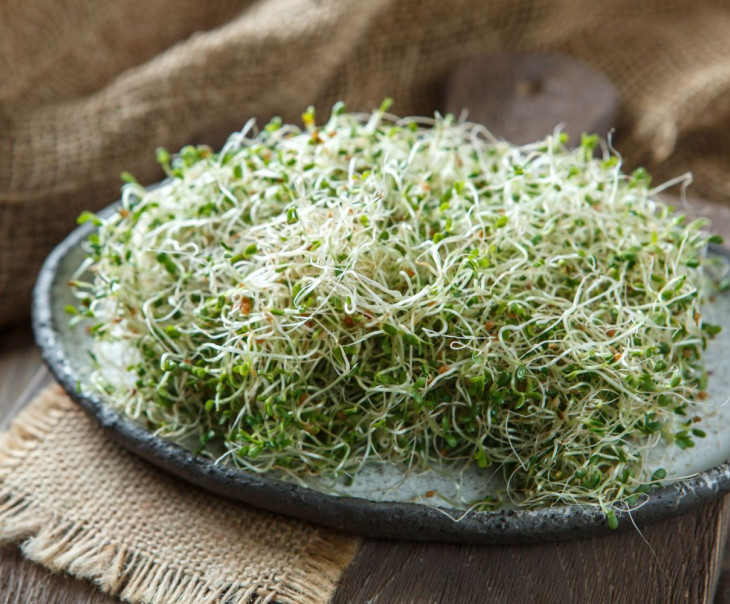 4172 Микрозелень люцерны Вкусляндия  - Вид №1