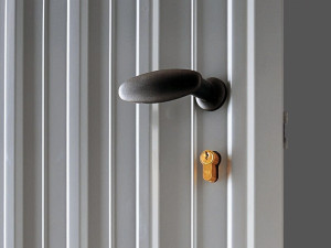 Стальная распашная дверь