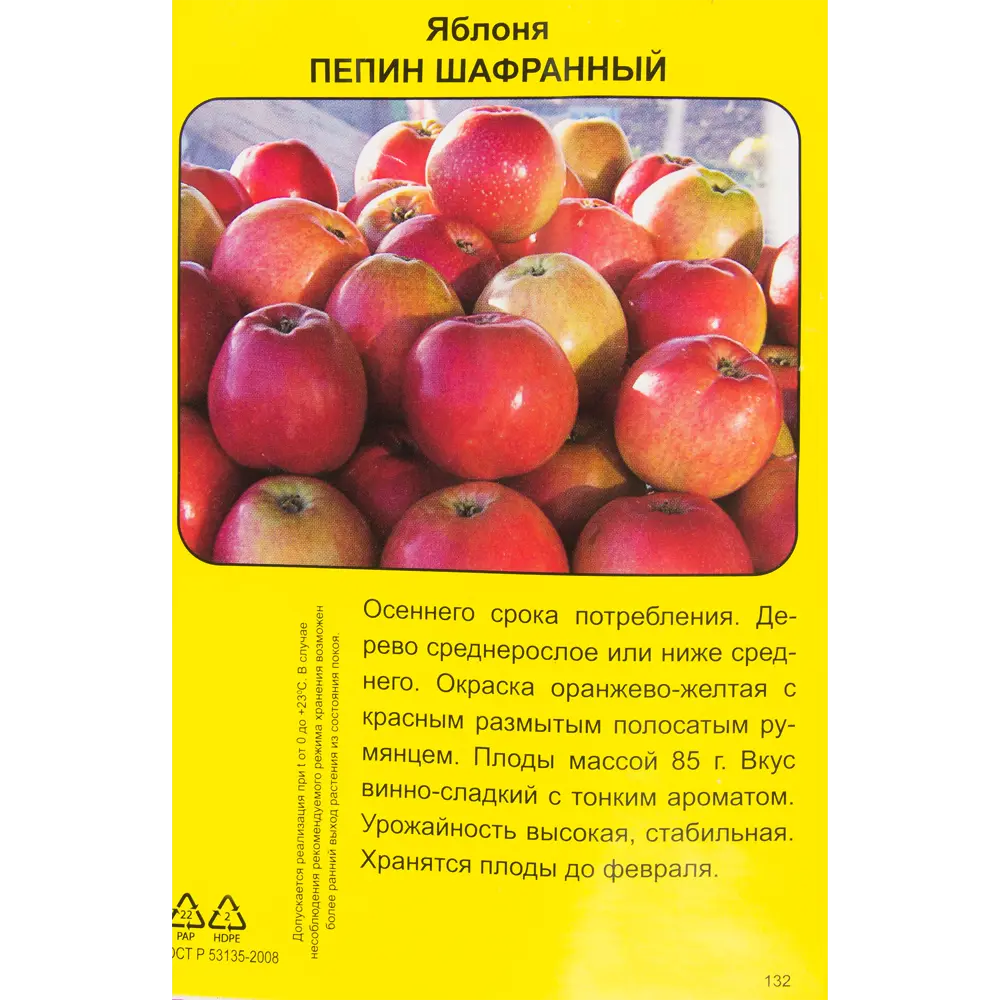 Яблоня Пепин шафранный h90 см 83791268 STLM-2073696 Santreyd  - Вид №1