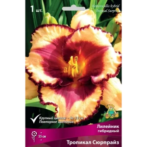 Лилейник гибридный Тропикал Сюрпрайз 82530546 STLM-2151242