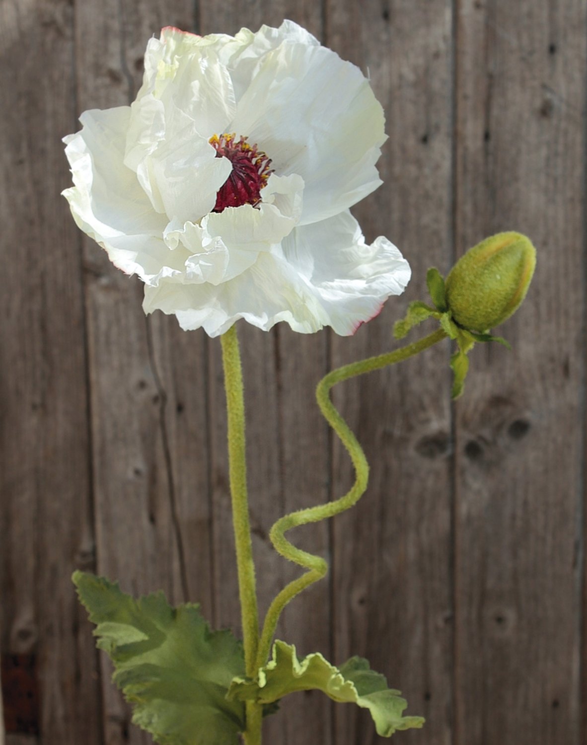4559 778 a3 Мак искусственный, 1 цветок, 1 бутон, 90 см, бежево-белый H-andreas  - Вид №2