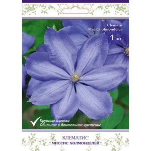 Клематис крупноцветковый Миссис Холмонделей h15 см 83431376 STLM-2160162