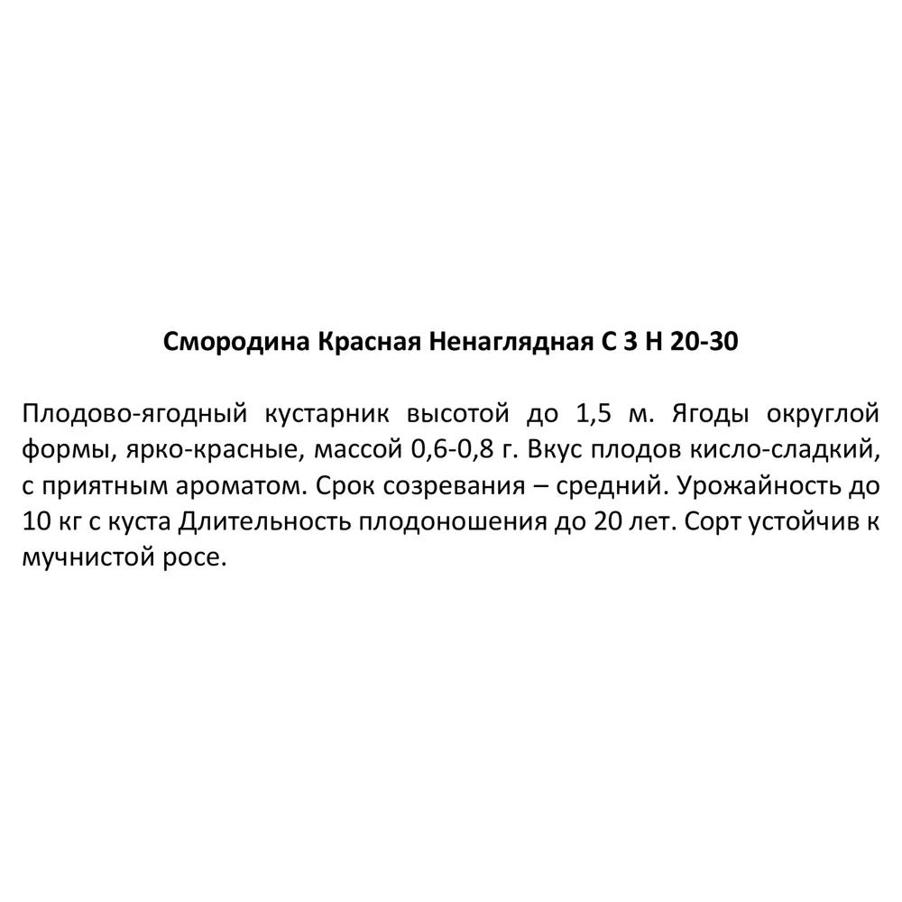 Смородина красная Ненаглядная 20-30 см 84841705 STLM-2055481 Santreyd  - Вид №2