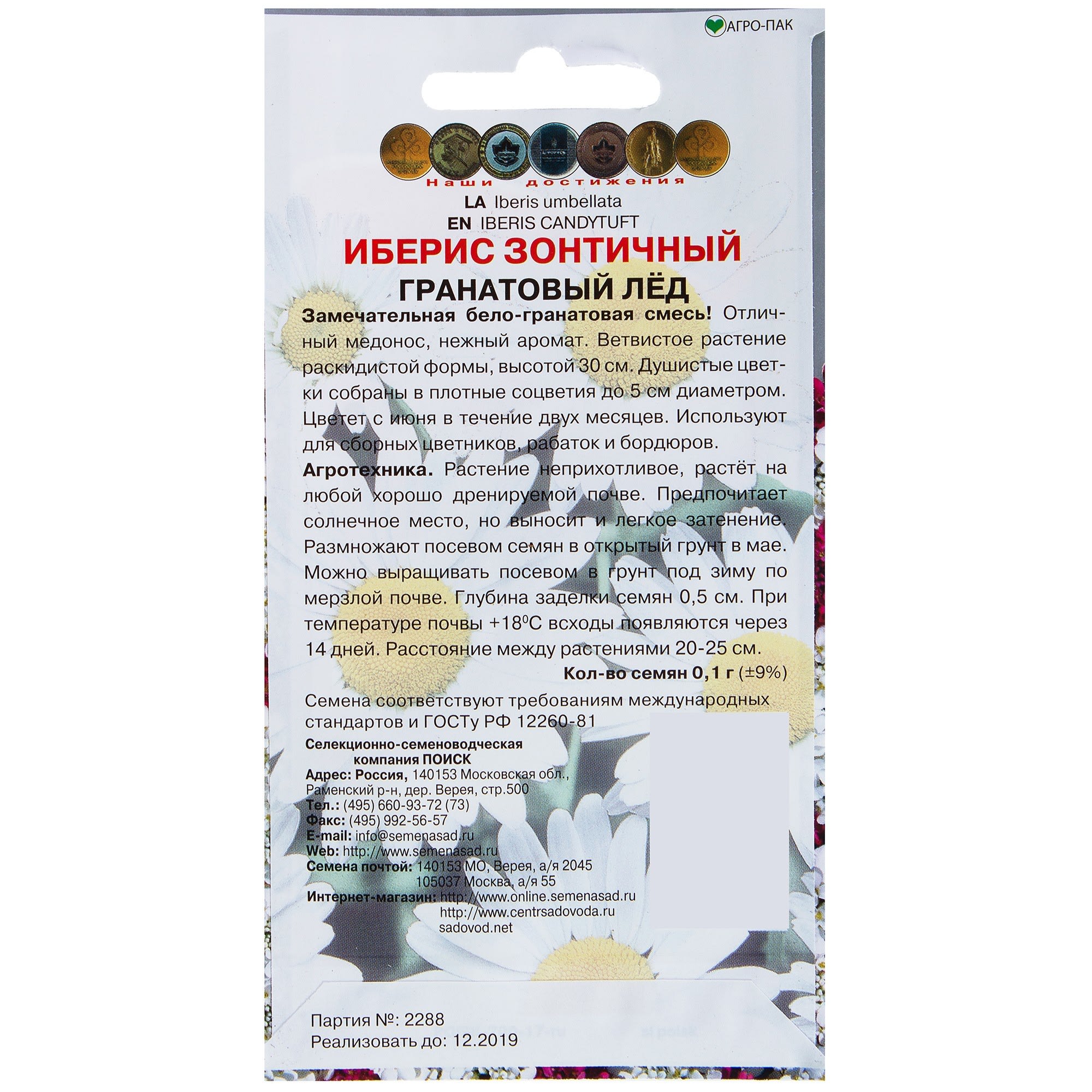 17229637 Иберис зонтичный «Гранатовый лед» Santreyd  - Вид №1