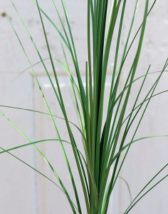 4816 883 a1 Искусственная трава isolepis, 90 см, зеленая H-andreas