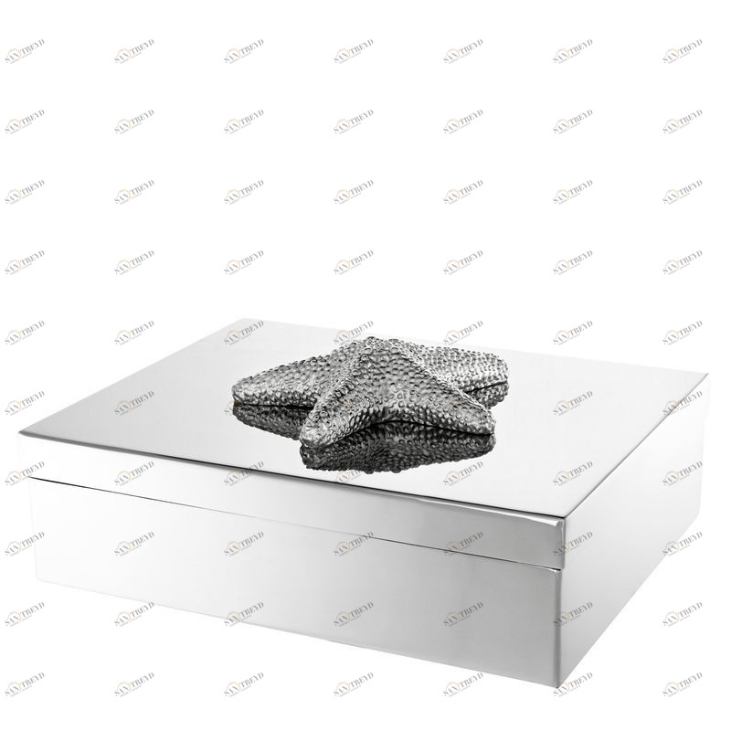 Шкатулка Sea Star L от Eichholtz EICHHOLTZ EICHHOLTZ 060228 Хром 