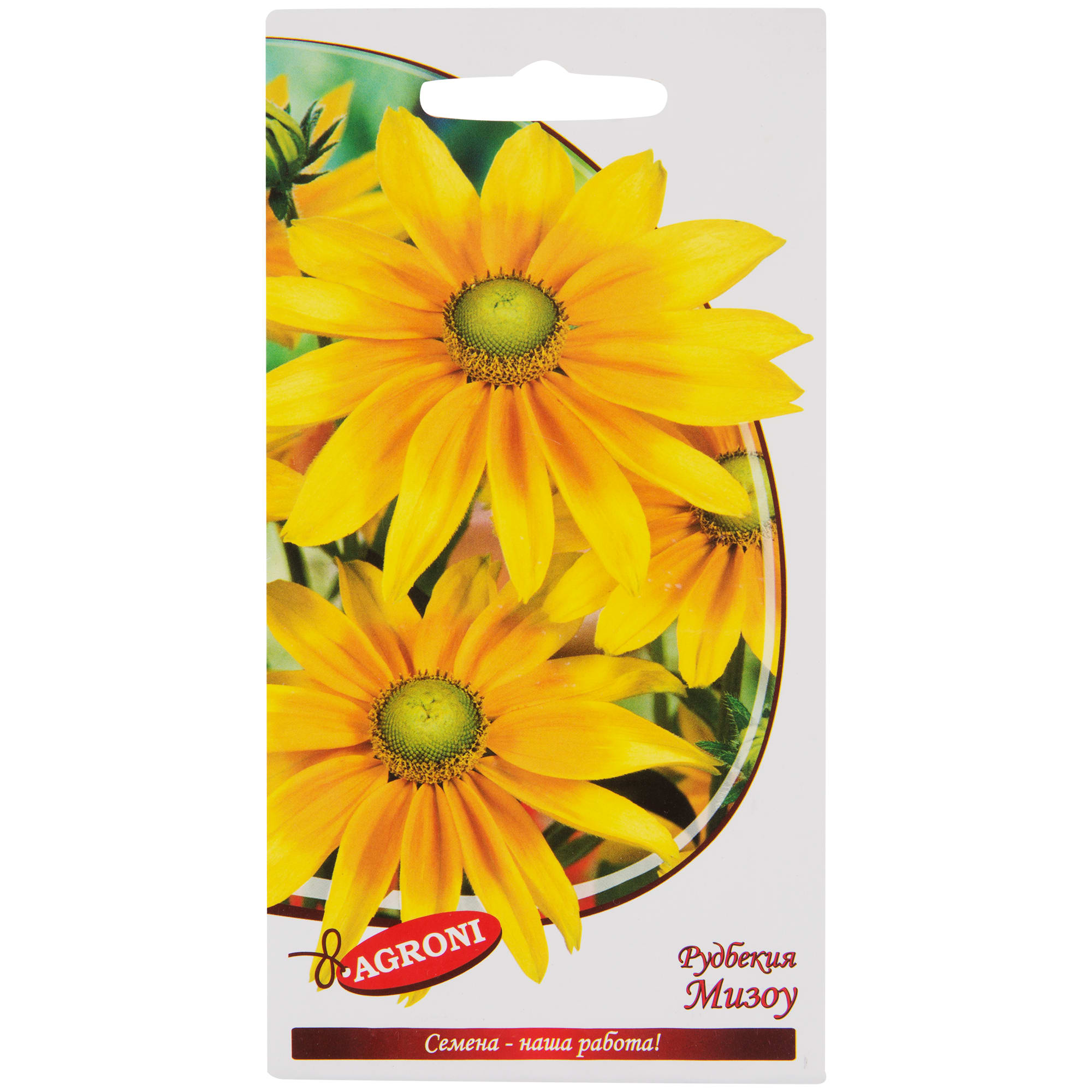 13067562 Рудбекия мизоу Santreyd 