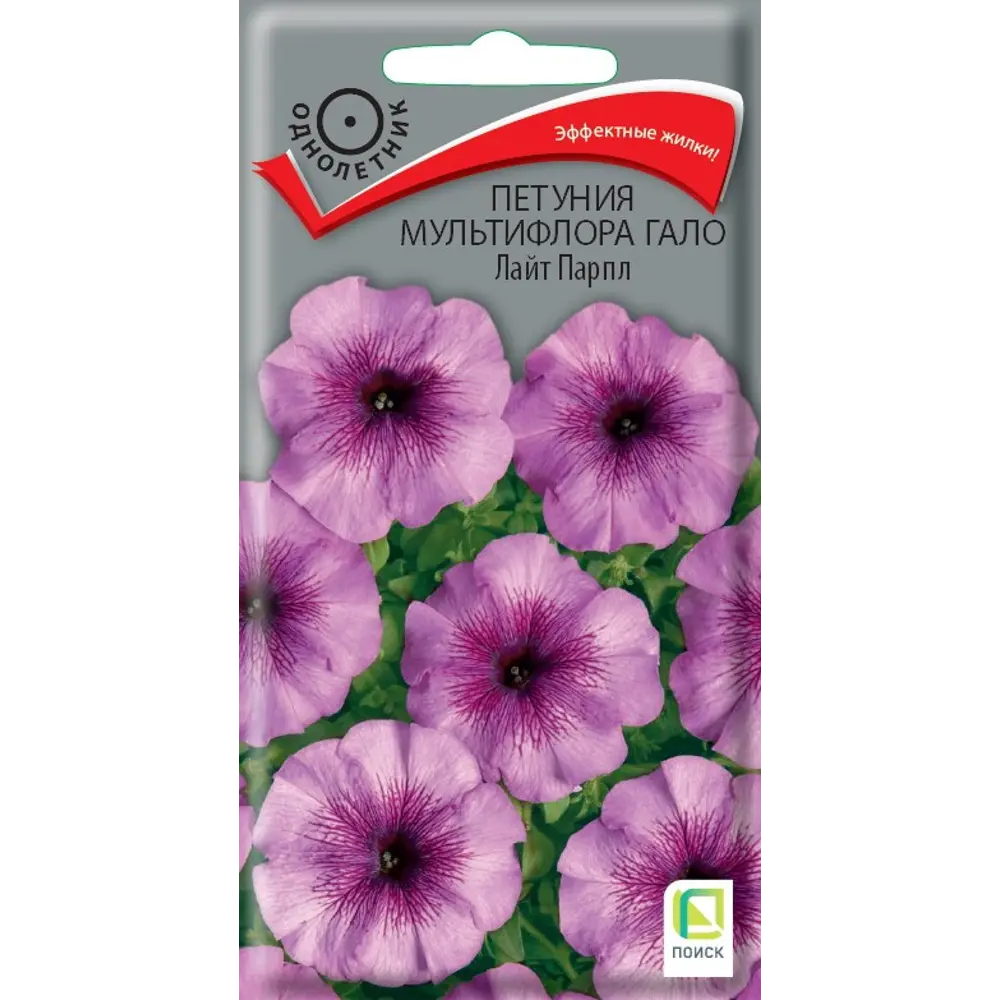 Петуния ПОИСК Гало Лайт Парпл - сиреневое цветение с контрастным узором 89402693 STLM-1568044