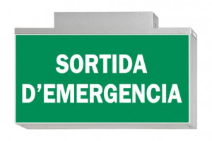 DST-761 Lisu ceiling-mounted Daisalux Светильники аварийные Серебристо-Серый