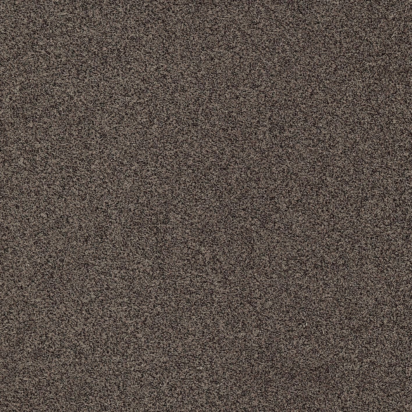 Сплошной ковер MODULYSS Delight ARCH-00141513 - Вид №23