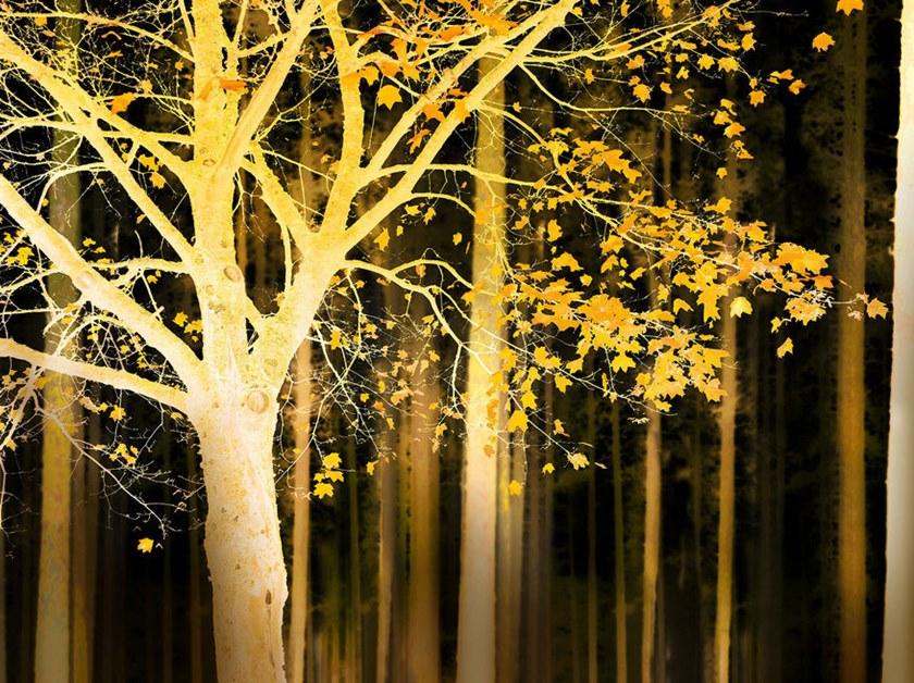 Architects Paper Обои с цифровой печатью Ap digital iv 109055 - Вид №1