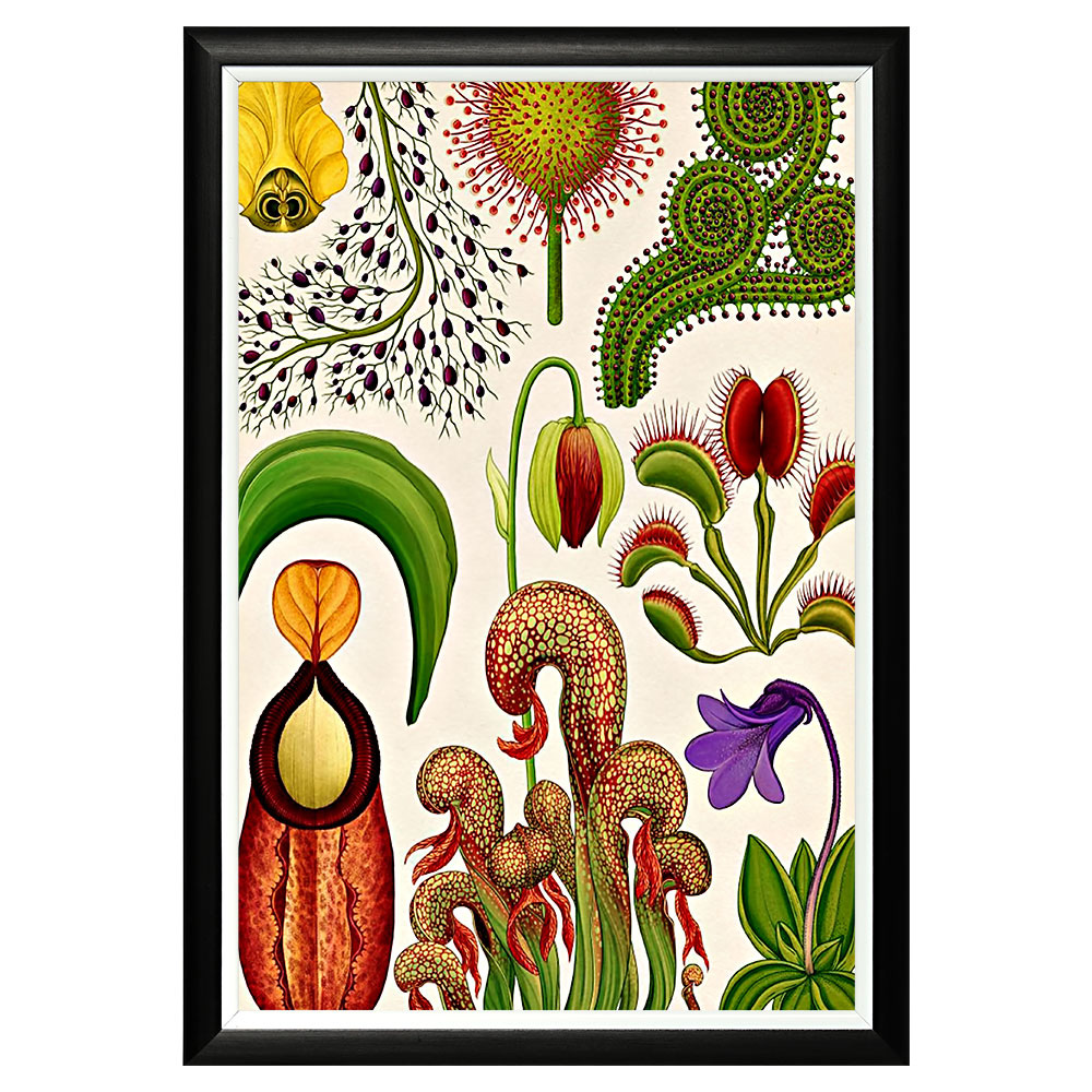 896518665_1818 Арт-постер «Они восхитительны» Object Desire 