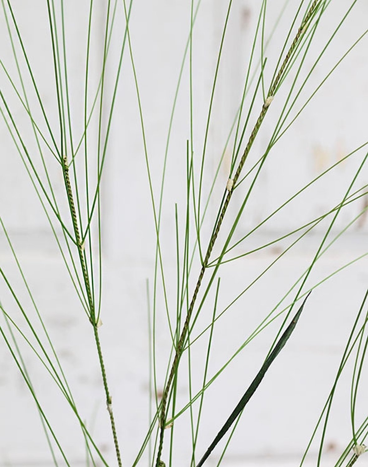 5163 883 a3 Стебель искусственной травы, 137 см, зеленый H-andreas 