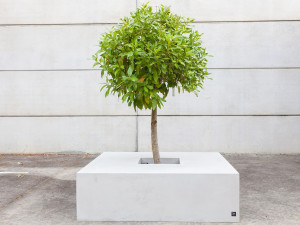 Скамейка из армированного волокном бетона со встроенной сеялкой