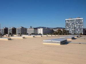 Полимерная сборная мембрана