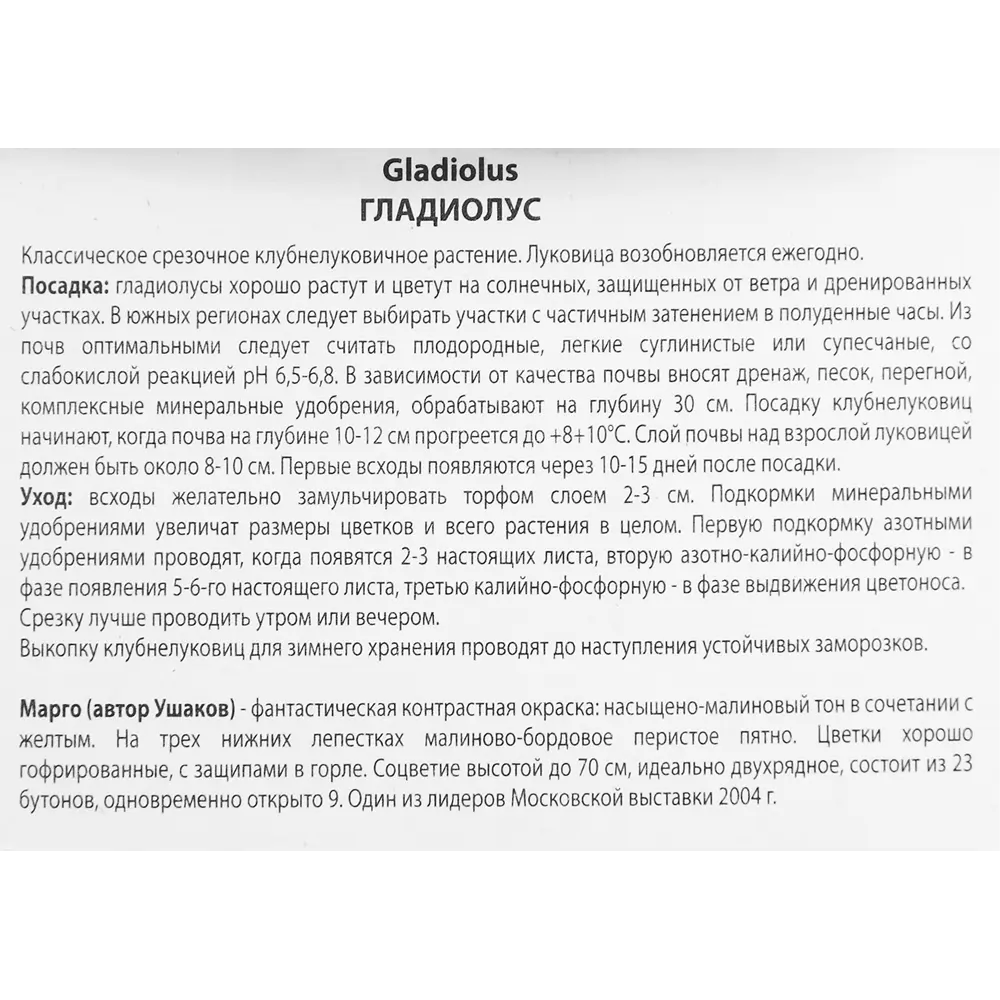 Гладиолус Марго, 3 шт 86410013 STLM-2163057 ПОИСК  - Вид №2