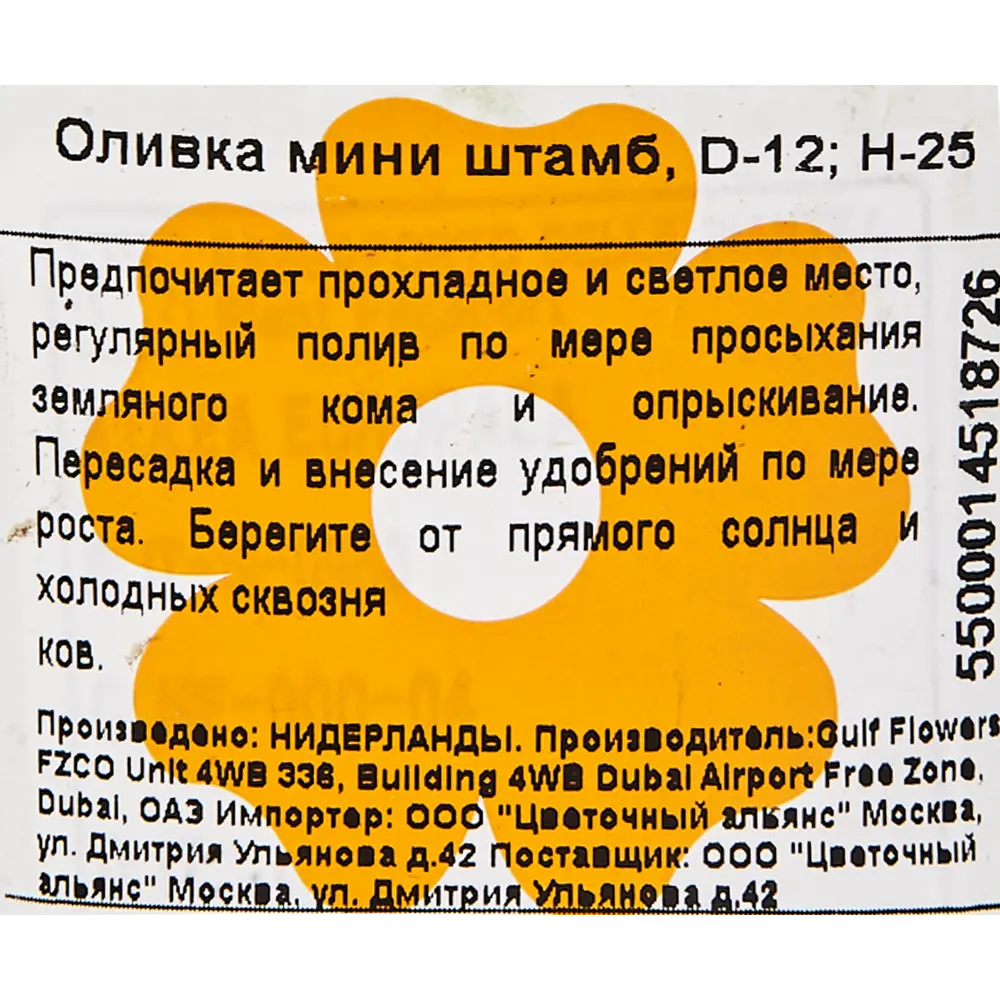 Олива Мини Штамбовая 12x25 см 83060670 STLM-2198509 Santreyd  - Вид №2