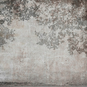 WP08014A Обои декоративные Adriani e Rossi