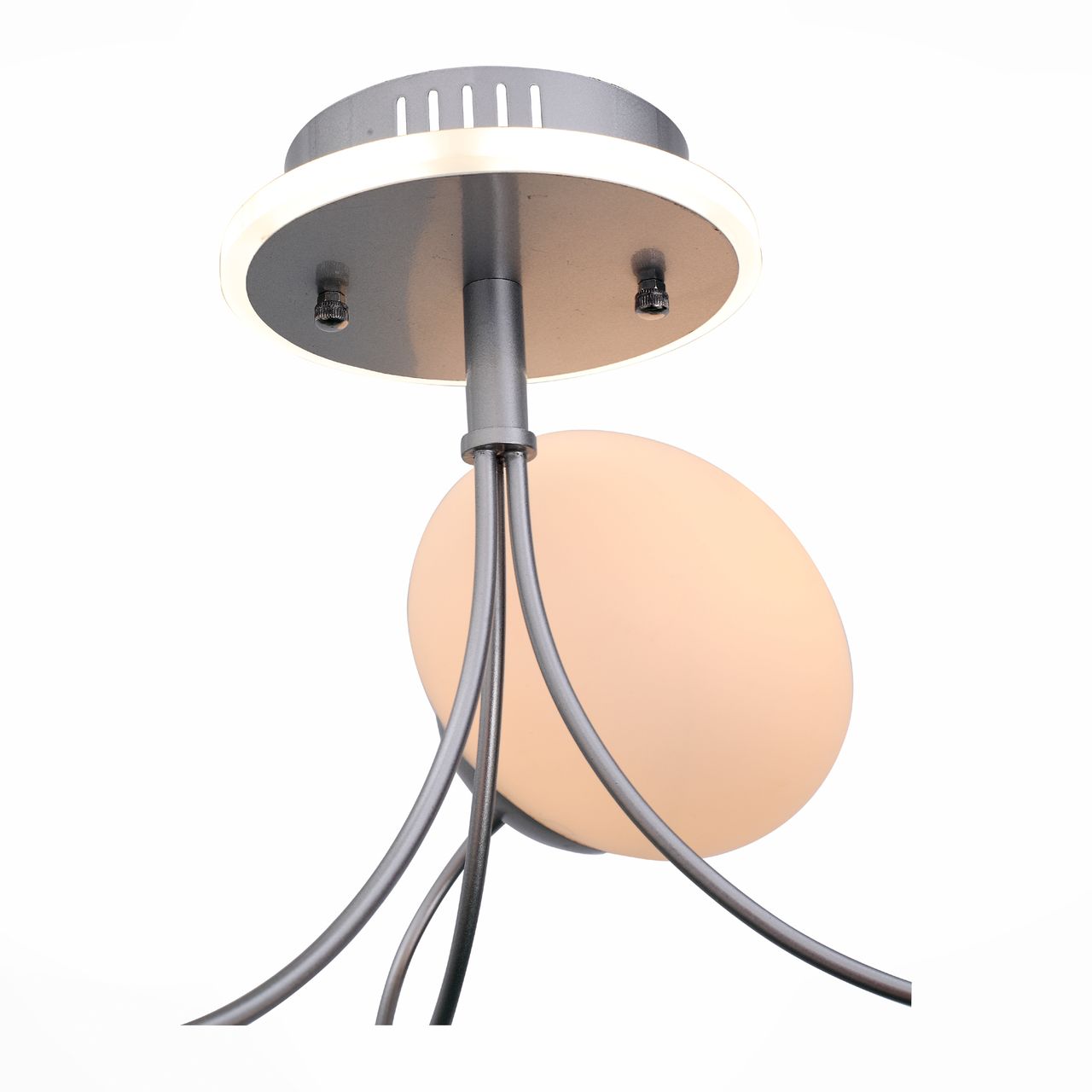 Потолочная люстра ST Luce Acini SL717.552.06 ST LUCE ACINI SILVER 109076 Белый  - Вид №1