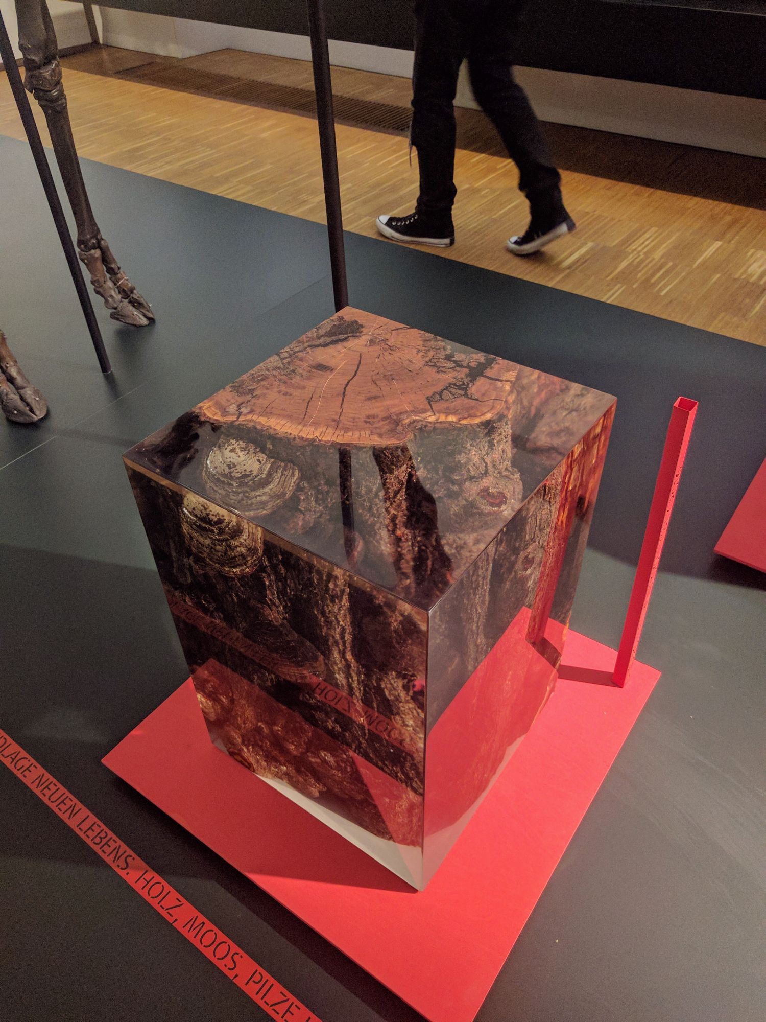 Табурет / журнальный столик alcarol Fungi ARCH-00131901 - Вид №7